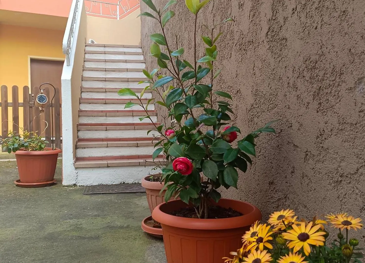 Casa Zenobio Apartment Pabillonis